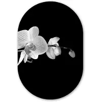 MuchoWow Muurovaal 60x90 cm - Ovale wanddecoratie Orchidee - Bloemen - Zwart - Roze - Knoppen - Ovalen schilderij - Muurdecoratie woonkamer - Kamer decoratie - Schilderijen - Wandcirkel