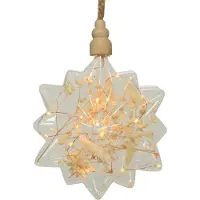 Lumineo Micro Led Ster Met Droogbloemen Ø 19cm Transparant transparant Glas