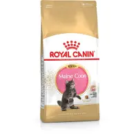 Royal Canin Droogvoer kat maine coon kitten 4 kg Royal Canin online kopen