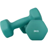 Songmics - Dumbells - Dumbells 3 kg - Hexagon Dumbells - 2 x 3 kg - Voor Krachttraining Thuis