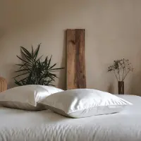 Silk Heaven 2x Zijden Kussensloop 60x70cm Wit Hotelsluiting 19 Momme - Kussensloop set - Luxe Silk Kussensloop 100% moerbei zijde - Zijde kussensloop - - 60x70cm (standaard) / Hotelsluiting