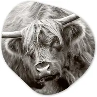 MuchoWow Organische wanddecoratie 40x40 cm - Organisch schilderij Schotse Hooglander - Zwart - Wit - Hoorns - Muurdecoratie woonkamer - Kamer decoratie - Schilderijen - Muurcirkel aesthetic