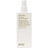 Evo salty dog Salt Spray Texturizing Spray 200 ml