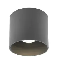 Wever & Ducre Ray Outdoor LED Plafondlamp Dark Grey | 2700 K