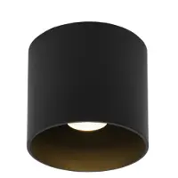 Wever & Ducre Ray Outdoor LED Plafondlamp Black Matt | 3000 K
