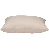 Maxxpro Hondenkussen Maat S - Comfortabel Hondenbed Kleine Honden - Benchkussen voor Binnen - Honden Bed 60 x 80 x 15 cm - Duurzaam en Makkelijk Wasbaar - Beige