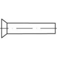Toolcraft TO-5448942 Verzonken klinknagel 6 mm 500 stuk(s)