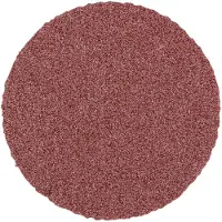 PFERD TOOLS CD 20 A 320 42750232 Schuurblad Korrelgrootte (num) 320 (Ø) 20 mm 100 stuk(s)