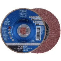 PFERD TOOLS 67604100 PFF 100 A 40 SG STEELOX/16,0 Lamellenschijf Diameter 100 mm Boordiameter 16 mm Korrelgrootte (num) 40 RVS, Staal 10 stuk(s)