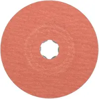 PFERD TOOLS 64191008 Schuurschijf Diameter 115 mm
