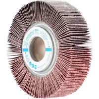 PFERD TOOLS 44710061 Waaier Diameter 100 mm 2 stuk(s)