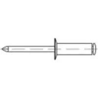 Toolcraft 160186 Open popnagel (Ø x l) 5 mm x 8 mm Staal Staal 500 stuk(s)