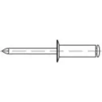 Toolcraft 1070268 Open popnagel (Ø x l) 4 mm x 12 mm RVS 500 stuk(s)