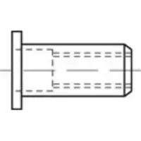 Toolcraft TO-5380467 Popmoer M5 RVS 500 stuk(s)