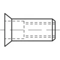 Toolcraft TO-5455332 Popmoer M8 500 stuk(s)
