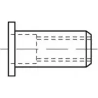 Toolcraft TO-5455317 Popmoer M6 500 stuk(s)