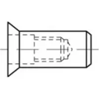 Toolcraft TO-5444316 Popmoer M8 Staal 250 stuk(s)