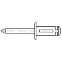 Toolcraft TO-5455302 Open popnagel 4.8 mm 250 stuk(s)