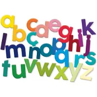 Vilac Magneten alfabet - - Alfabet kleine letters 80 stuks - hout - felle kleuren - geschikt voor kleine handjes