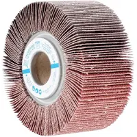 PFERD TOOLS 44712061 Waaier Diameter 100 mm 2 stuk(s)