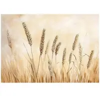 WALLARENA - Fotobehang - 300x210 cm - Boho beige natuur behang voor slaapkamer en salon van vliesbehang