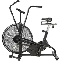 Assault Airbike
