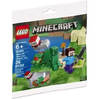 LEGO Minecraft Steve en Creeper Polybag Set 30393 (Verpakt) Speelgoed