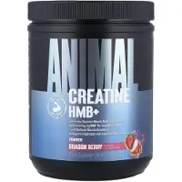 Universal Nutrition Animal Creatine HMB+ - 30 servings - Dragon Berry
