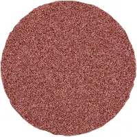 PFERD TOOLS CD 25 A 120 42750312 Schuurblad Korrelgrootte (num) 120 (Ø) 25 mm 100 stuk(s)