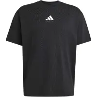 Adidas Run Graphic T-Shirt, zwart