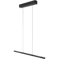 Steinhauer Hanglamp Bande 4906ZW Zwart – LED hanglamp 80 cm met Cable Lift