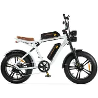 ENGWE M20 - Dubbele Accu - Elektrische Fatbike - Wit - 250W - 20 inch