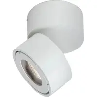 Orion Harvey buitenspot LED, wit, Ø 10 cm, gegoten aluminium Harvey, dimbaar, wit / opaal, Aluminium, Modern, LED buitenlamp