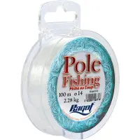RAGOT Pole Fishing Monofilament 100 M Wit 0.140 mm