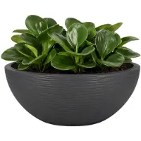 Eda Grijze Antraciet Plastic Plantenpot EDA 547020 - 30 cm