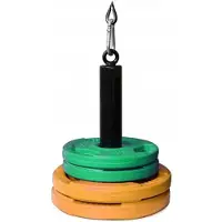 Tojato Serie - Olympische Stangen - Roestvrij Staal - 47mm Diameter - 200kg Capaciteit