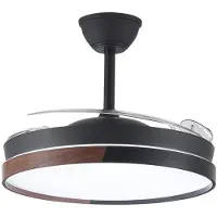 CristalRecord Plafondventilator Ecoro Ø 106 cm hout zwart
