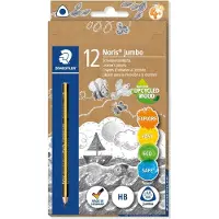 Staedtler Box 12 Triangular Pencils Jumbo Triplus Grijs Kinderen