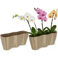 Kadax Bloempot voor binnen, orchideeën, bloemen, planten, vensterbank, orchideeënpot, kunststof plantenpot, moderne plantenbak, bloembak, bloemenbak, 35 x 12 cm, beige
