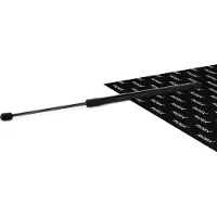 RIDEX 219G0551 Gasveer achterklep
