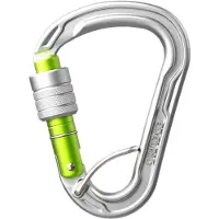 Edelrid HMS Strike Screw FG II Karabijnhaak, zilver/groen 2023 Karabijnhaken