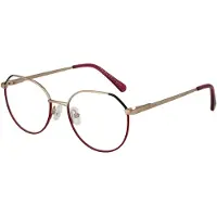 Radley Brilframe RDO-6005 062 50