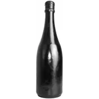All Black - Buttplug in een ongebruikelijke flesvorm 1 St