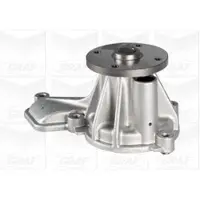 Graf PA1184 Waterpomp