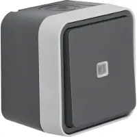 Berker wisselcontact, model 30763525, met verlichting, type AP, kleur: lichtgrijs
