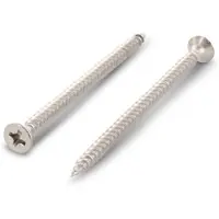 Schaefer & Peters S +P Splaanplaatschroef - 5x50mm - RVS A2 - Voldraad - PZ2 - 200 stuks