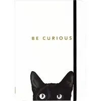 Peter Pauper Press compacte notitieboek - Curious Cat - met elastieksluiting - 13x18 cm