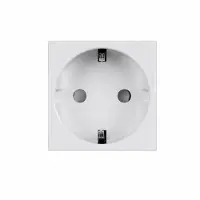 Buster + Punch - SCHUKO SOCKET MODULE / TYPE F / 45MM