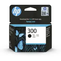 HP Inktcartridge 300 (CC640EE) Zwart
