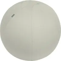 Leitz Ergo Actieve Zitbal - Anti-rol design - 65cm - Lichtgrijs